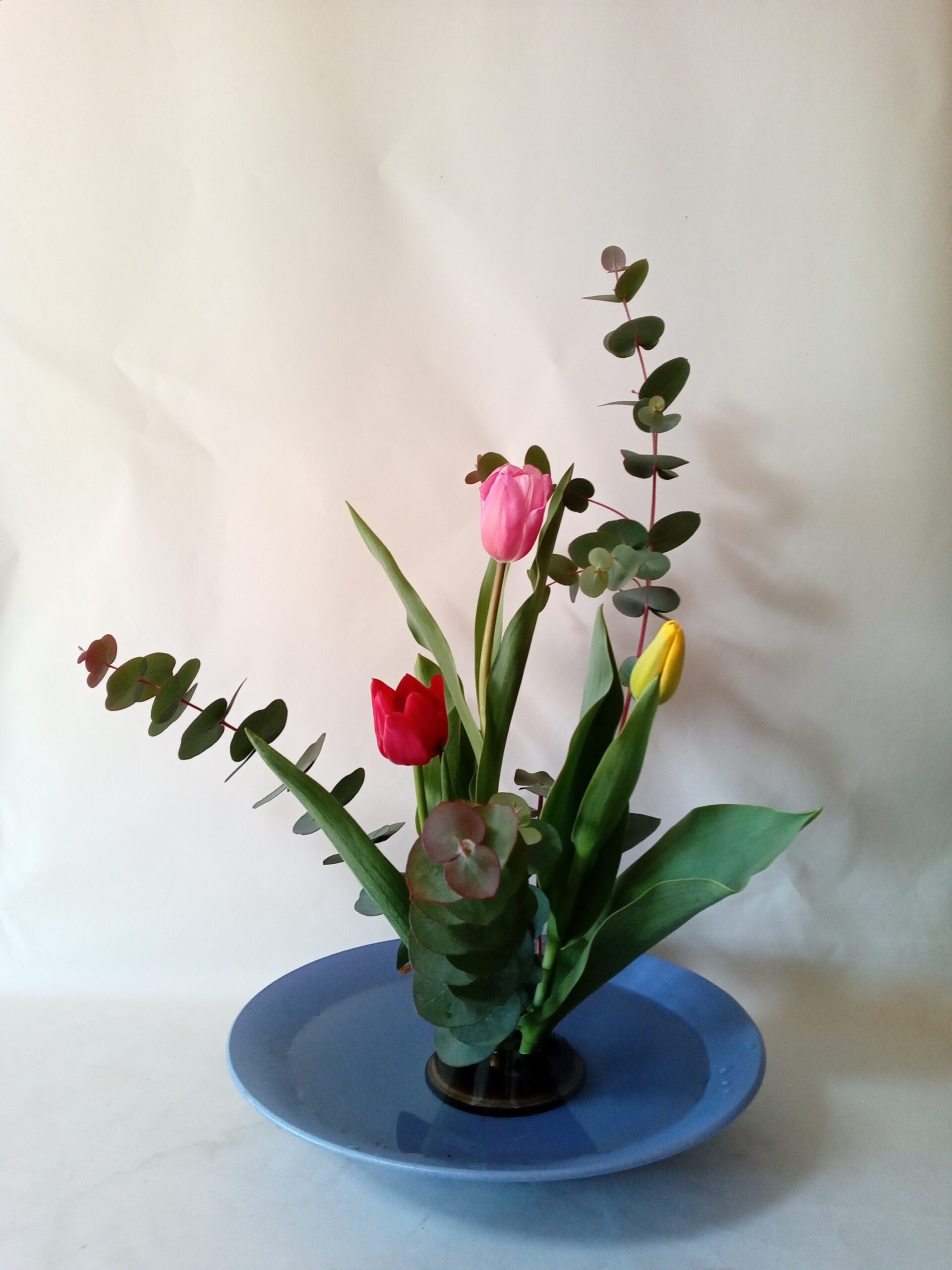 チューリップとユーカリ