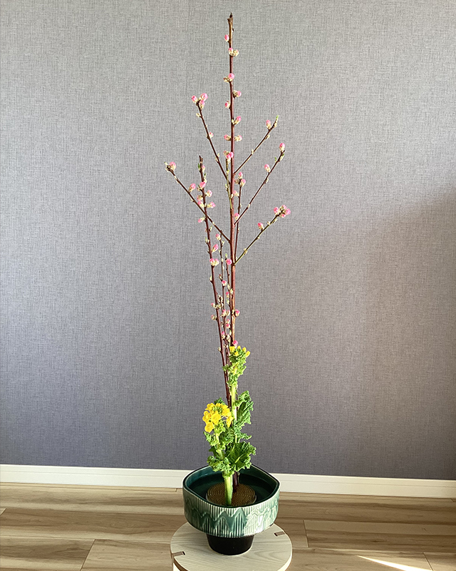 桃と菜の花の写真