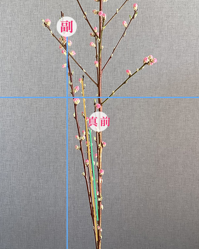 二種生の解説画像