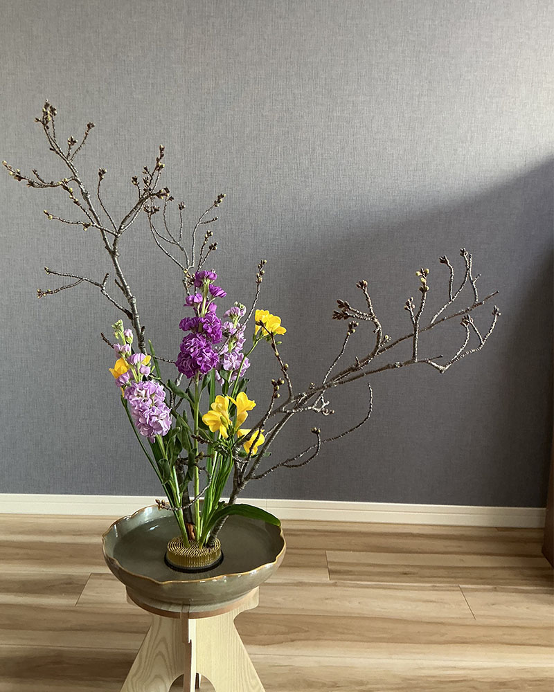 桜の自由花の画像